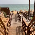 Barracuda Bythesea * 알부페이라