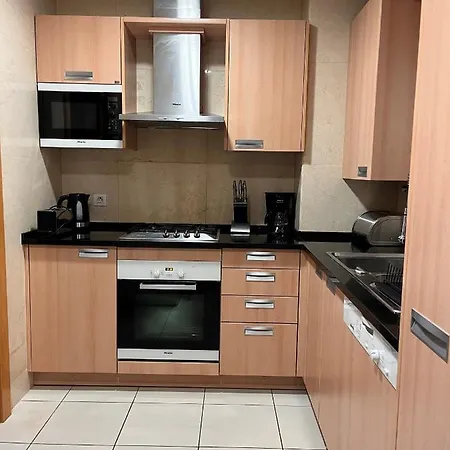 Barracuda Bythesea * 알부페이라