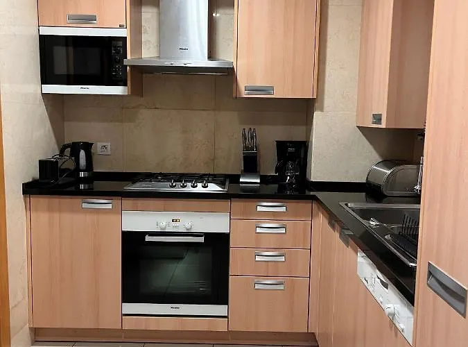 Barracuda Bythesea * 알부페이라