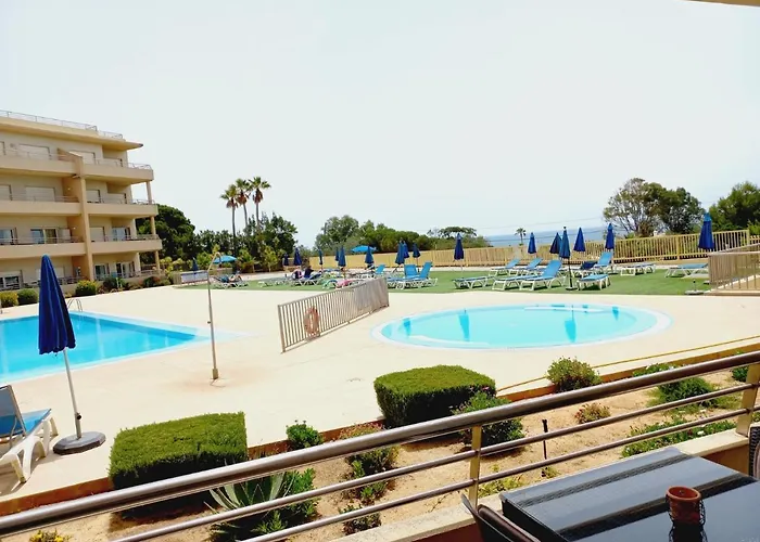 Barracuda Bythesea * 알부페이라