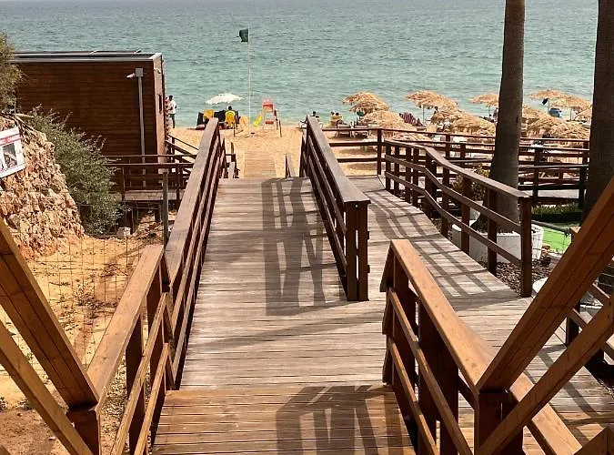 Barracuda Bythesea * 알부페이라