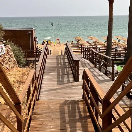 Barracuda Bythesea * Albufeira