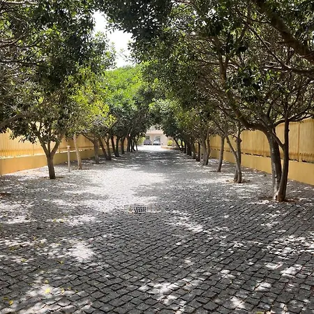 Barracuda Bythesea Albufeira